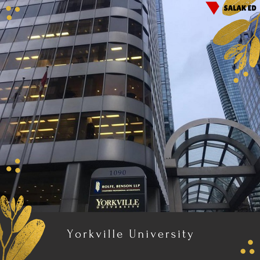 Institution of the Week: Yorkville University